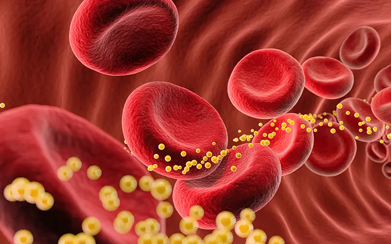 illustration of cholesterol in the blood stream